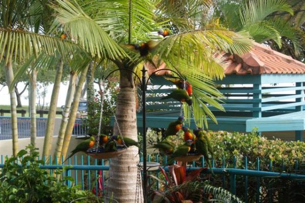 The Esplanade, Picnic Point, Maroochydore